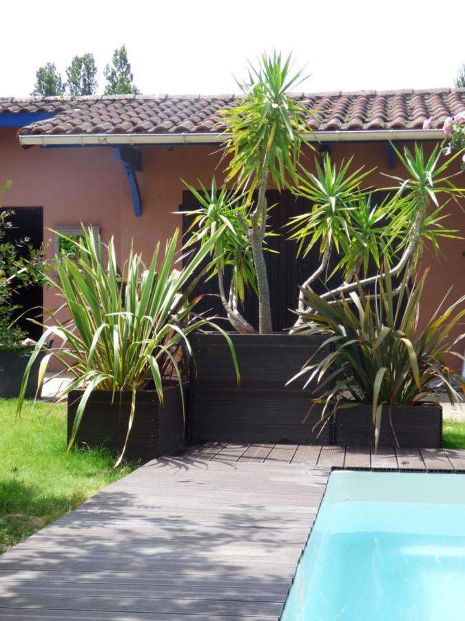 Labastide-Saint-Pierre Arche De Lanoe Jacuzzi Bed & Breakfast エクステリア 写真